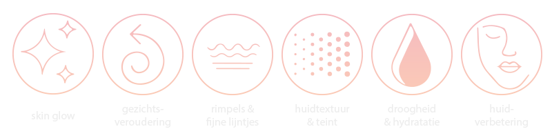 Wat is SoMe icoontjes